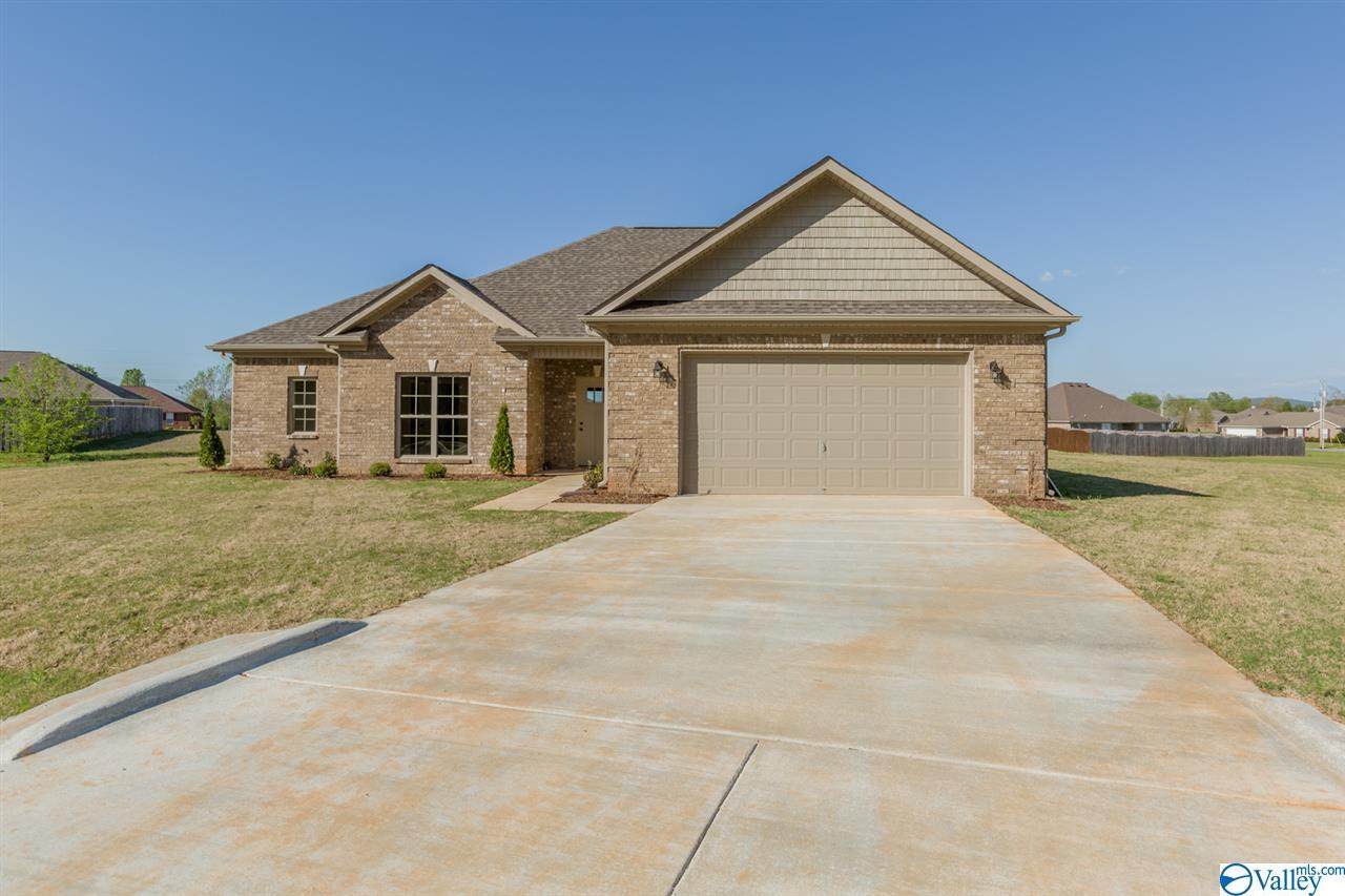 3675 Elkwood Section Road - Photo 1