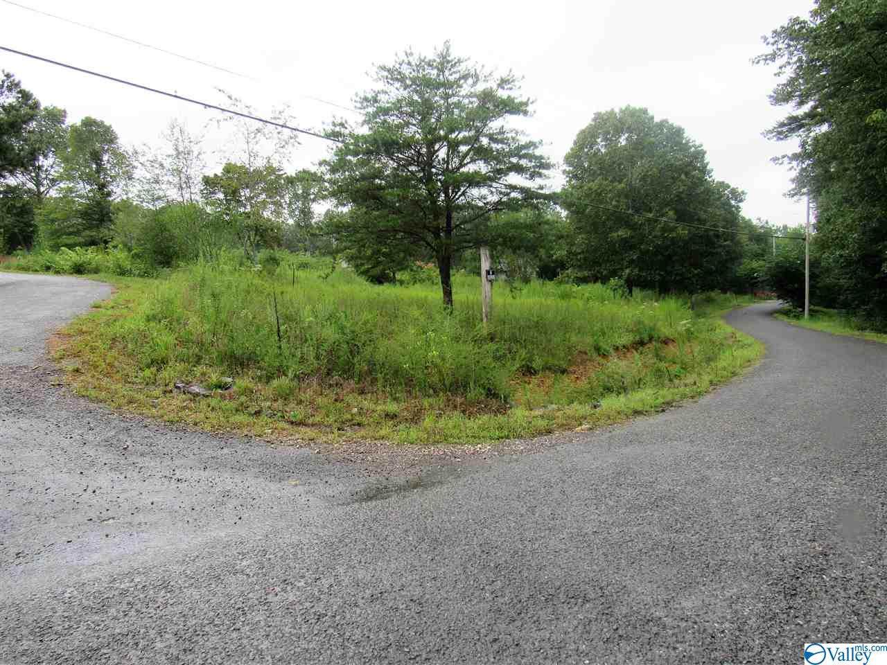 920 County Road 130 - Photo 1