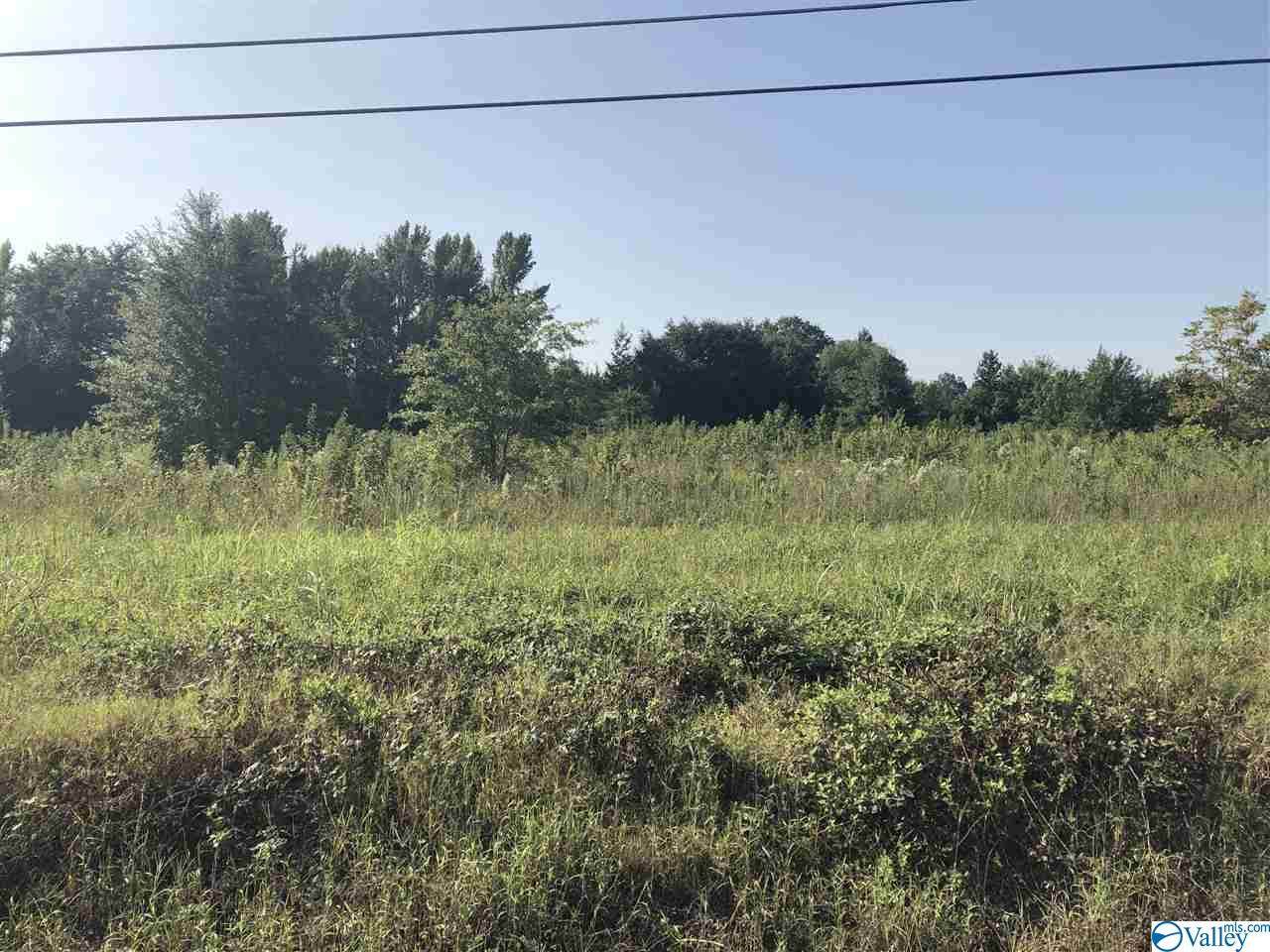 Lot 4 County Road 170 - Photo 1