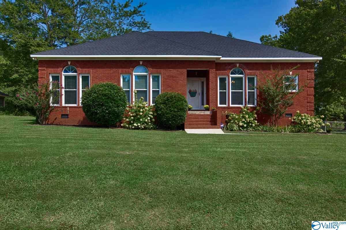 801 Cindy Street - Photo 1
