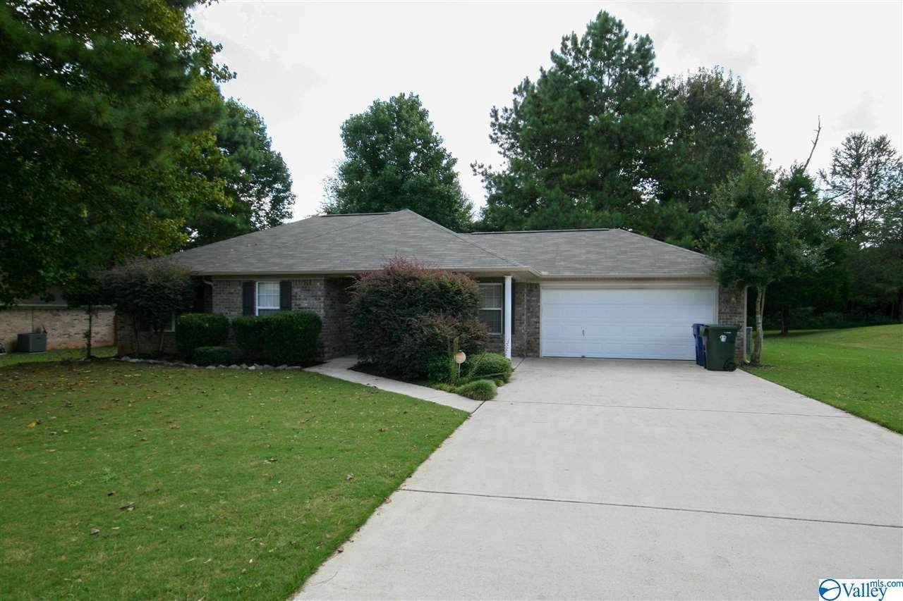 118 Lisa Michele Drive - Photo 1