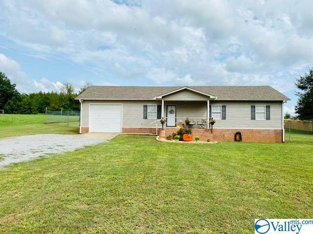14862 Friend Road - Photo 1