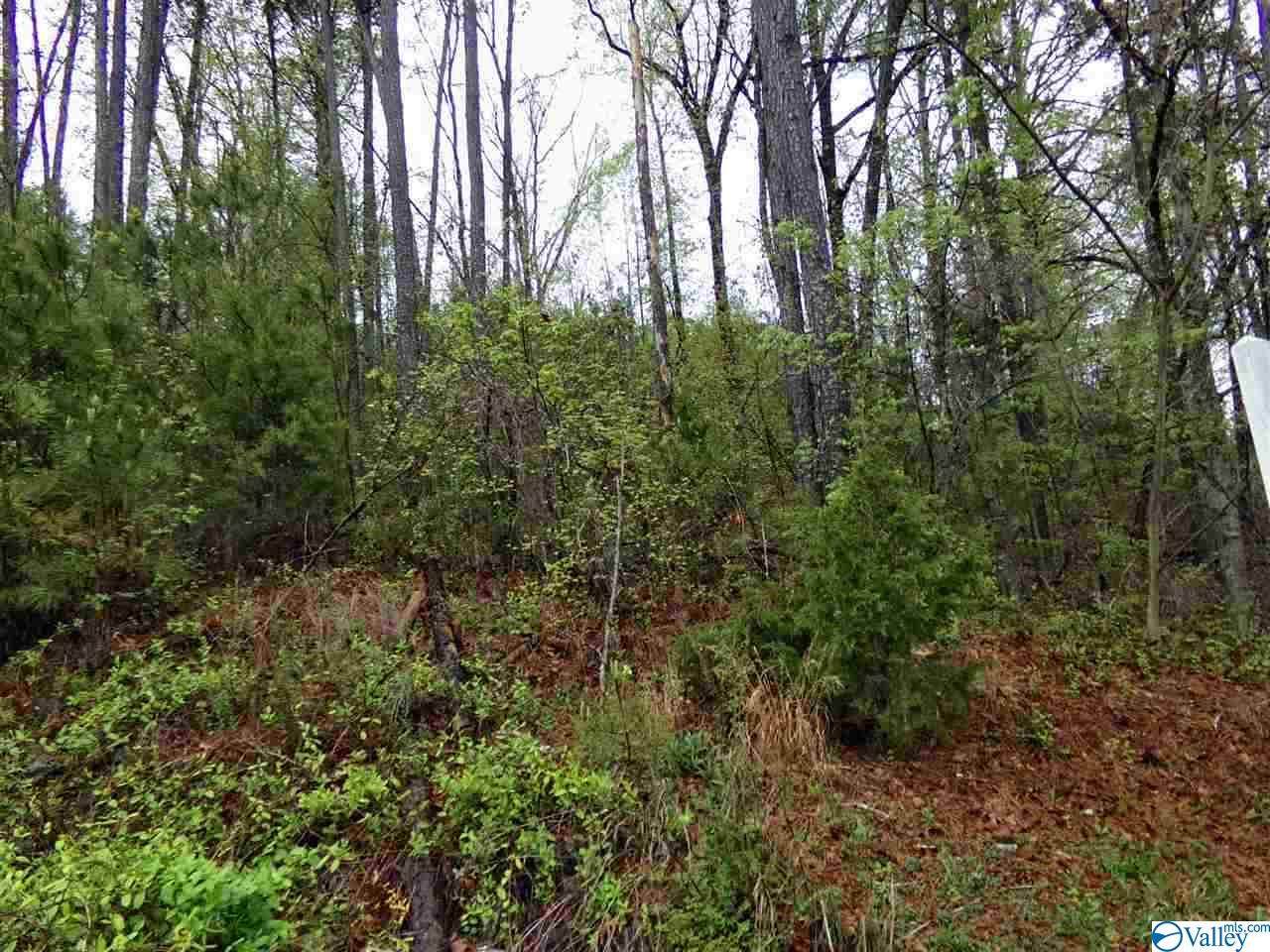 2 Lots Columbus City Road - Photo 1