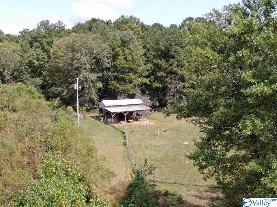 623 County Road 798 - Photo 1