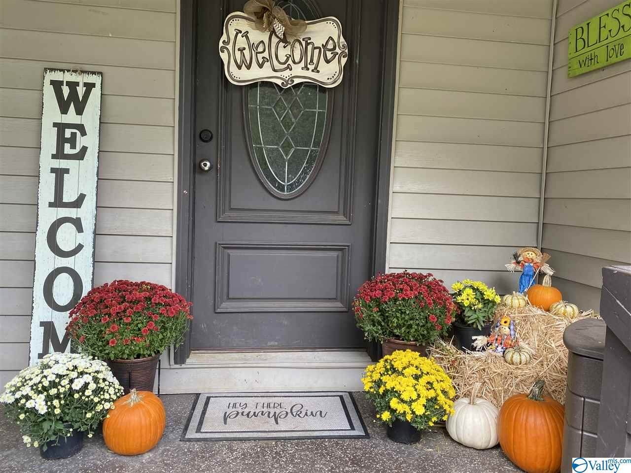 266 Hembree Drive - Photo 1
