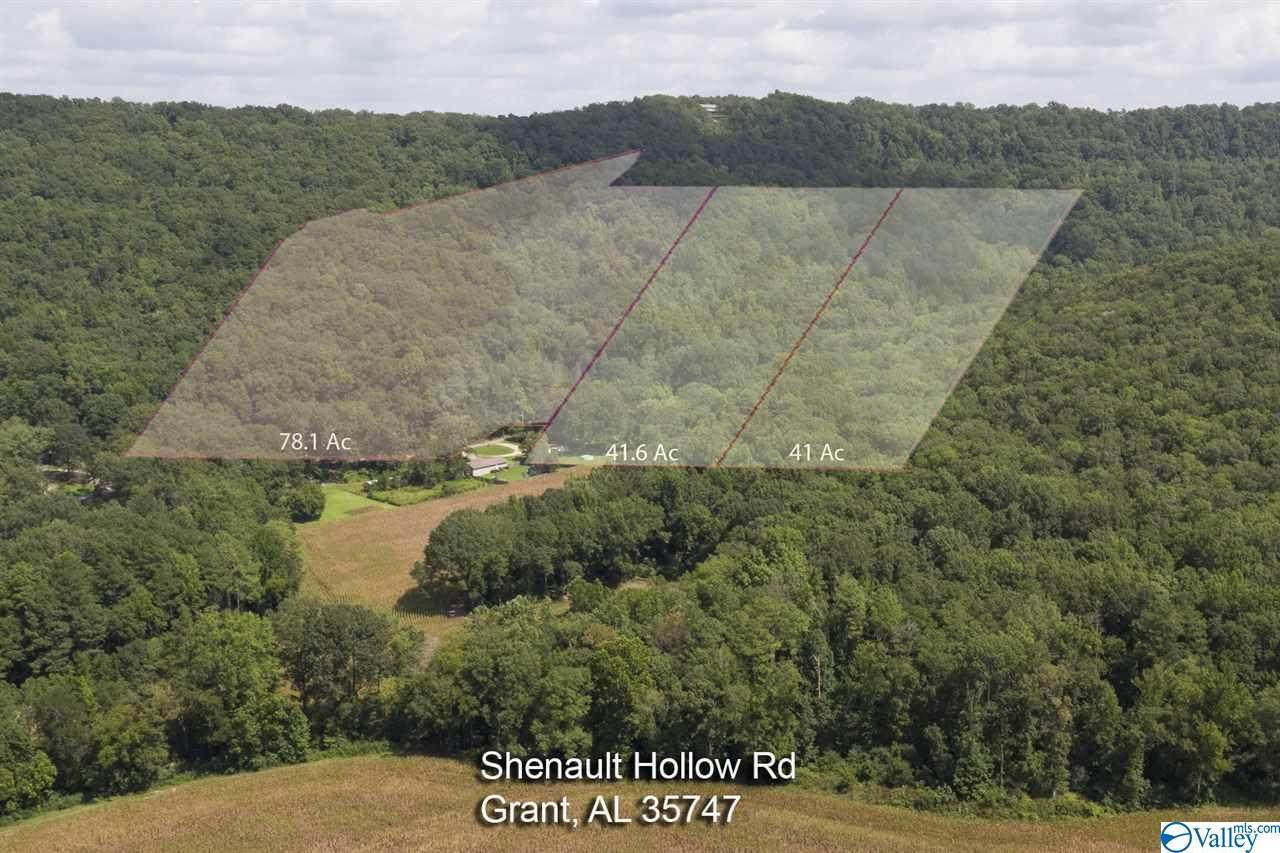 0 Shinault Hollow Road - Photo 1