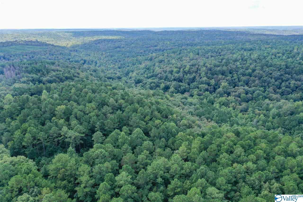 0 County Road 67 - Photo 1