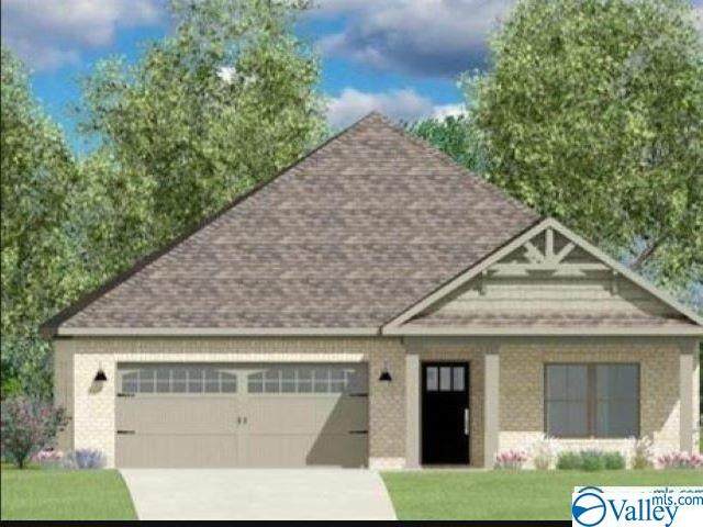 29919 Copperpenny Drive - Photo 1