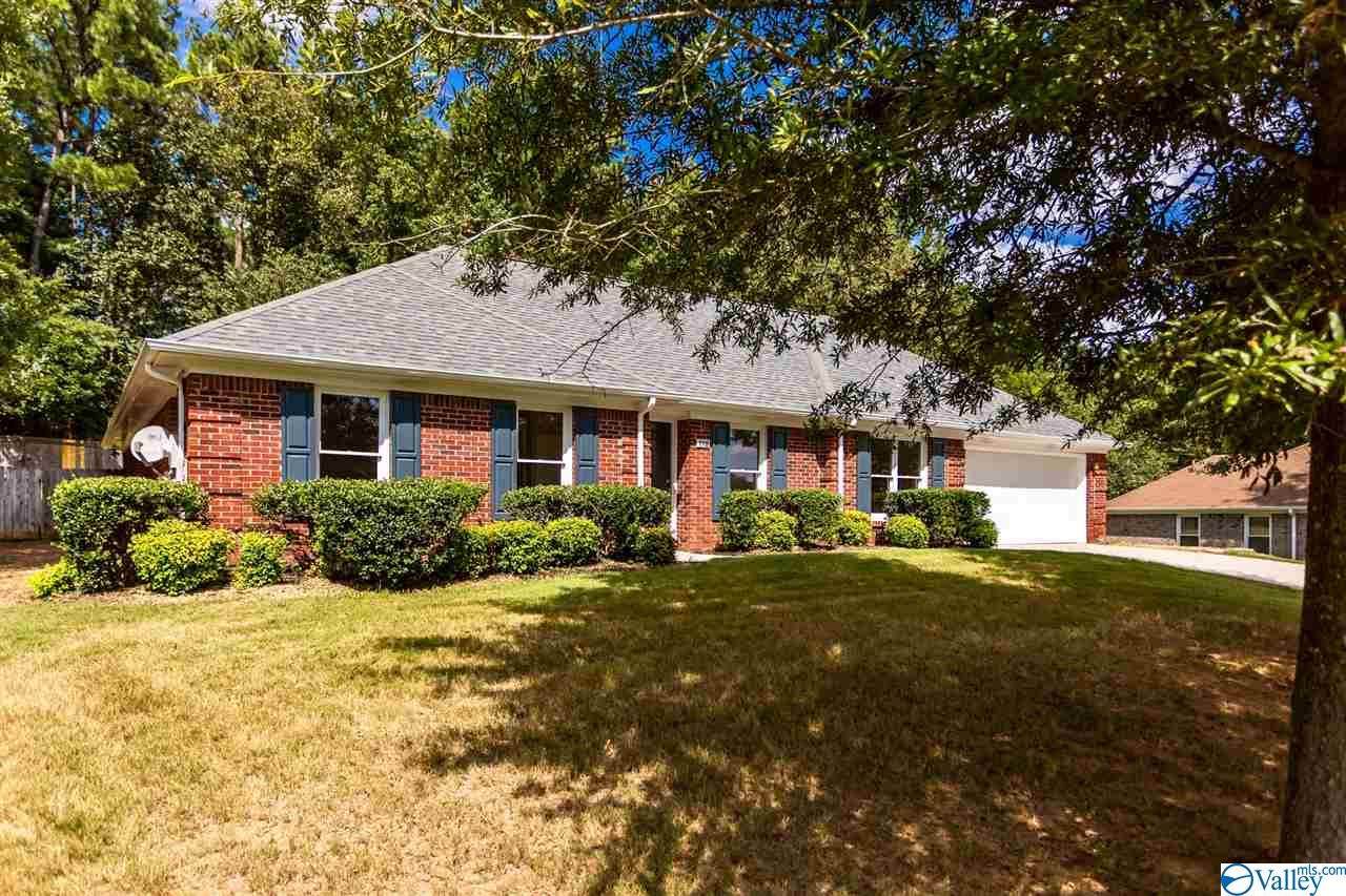 119 Skyhawk Drive - Photo 1