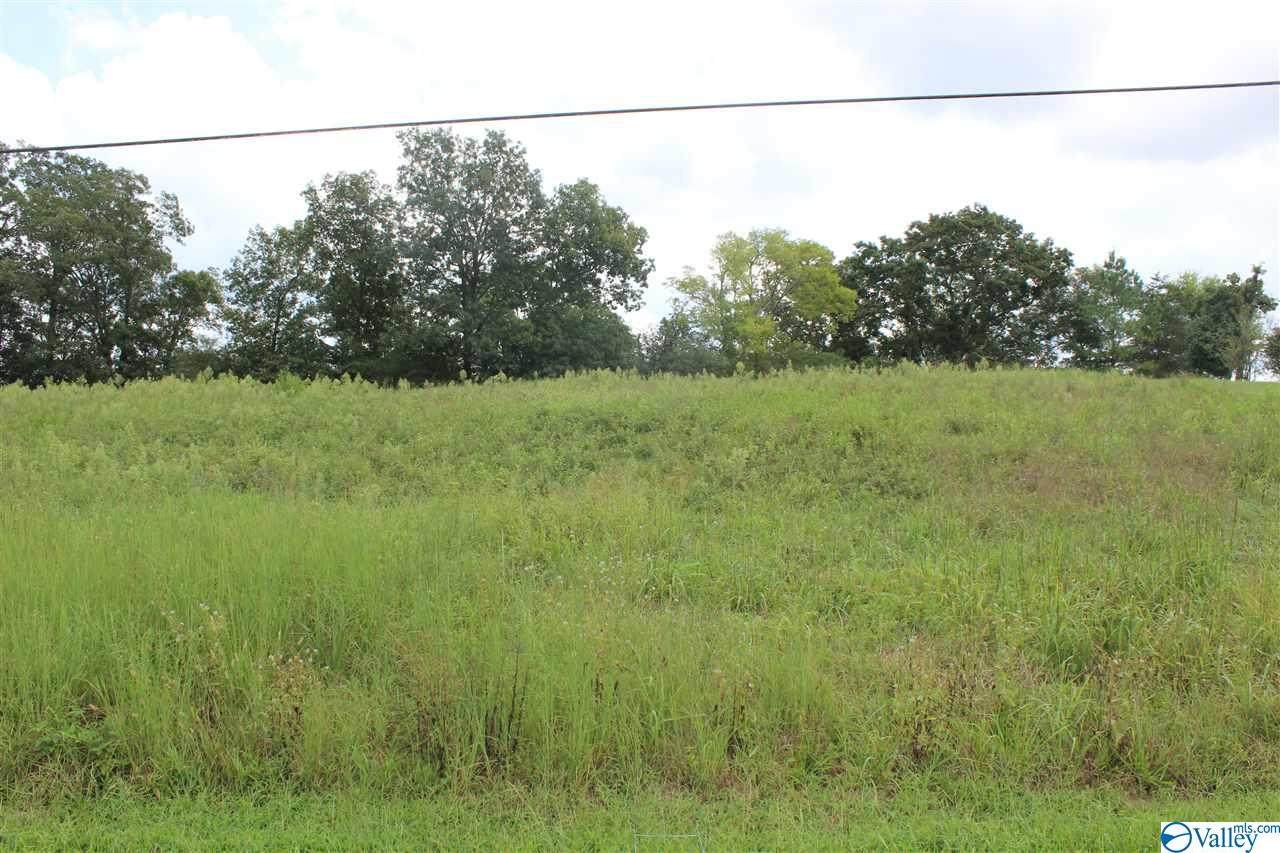 25 County Road 1010 - Photo 1