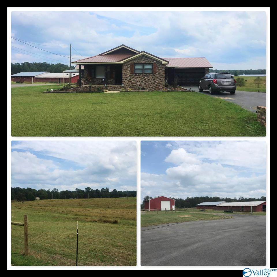 5170 Sardis Road - Photo 1