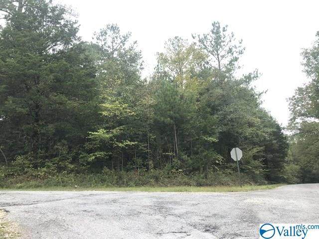 lot 59 Tanglewood Trail - Photo 1