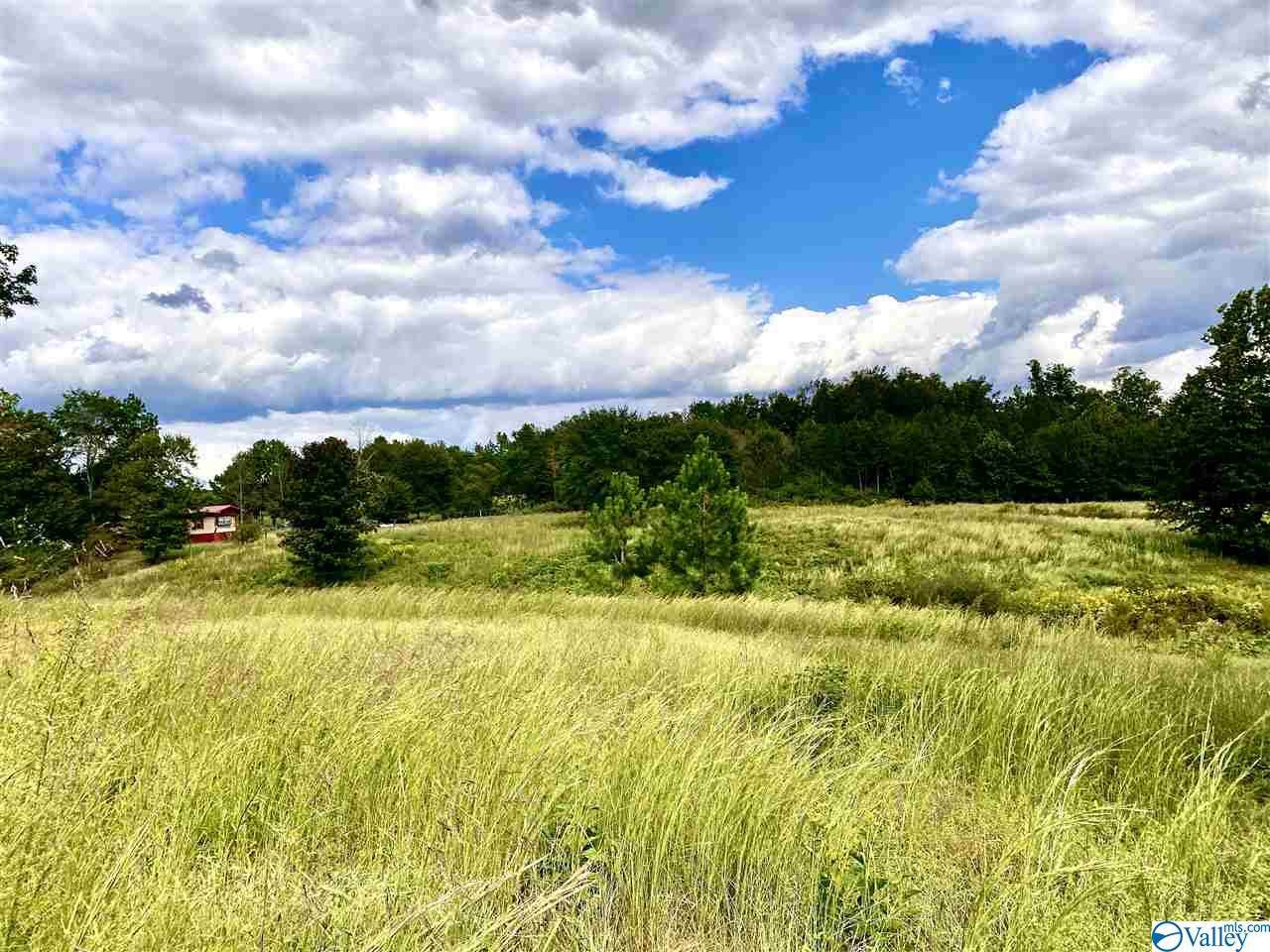 130 Us Highway 231 - Photo 1