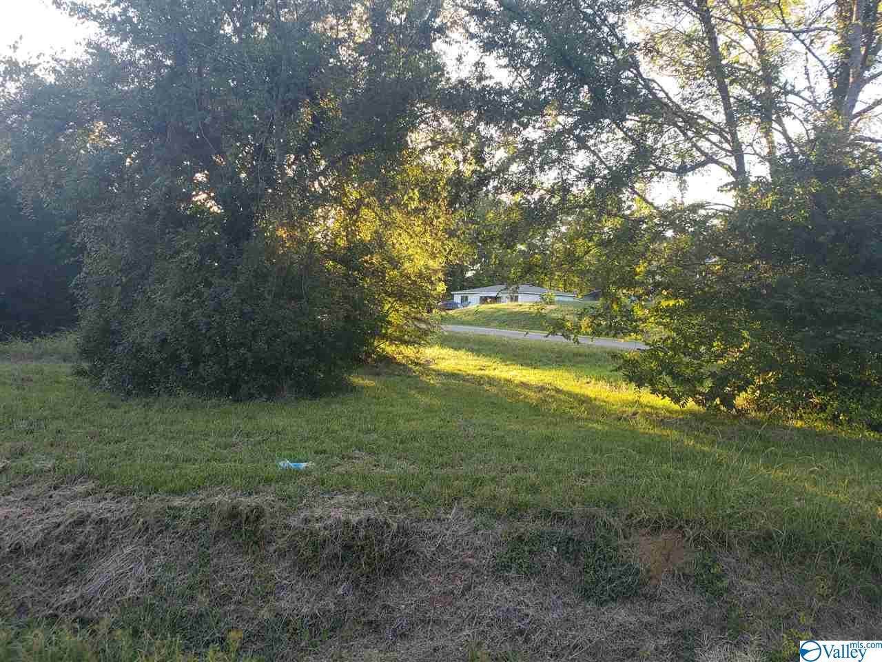 Michael Ann Avenue - Photo 1