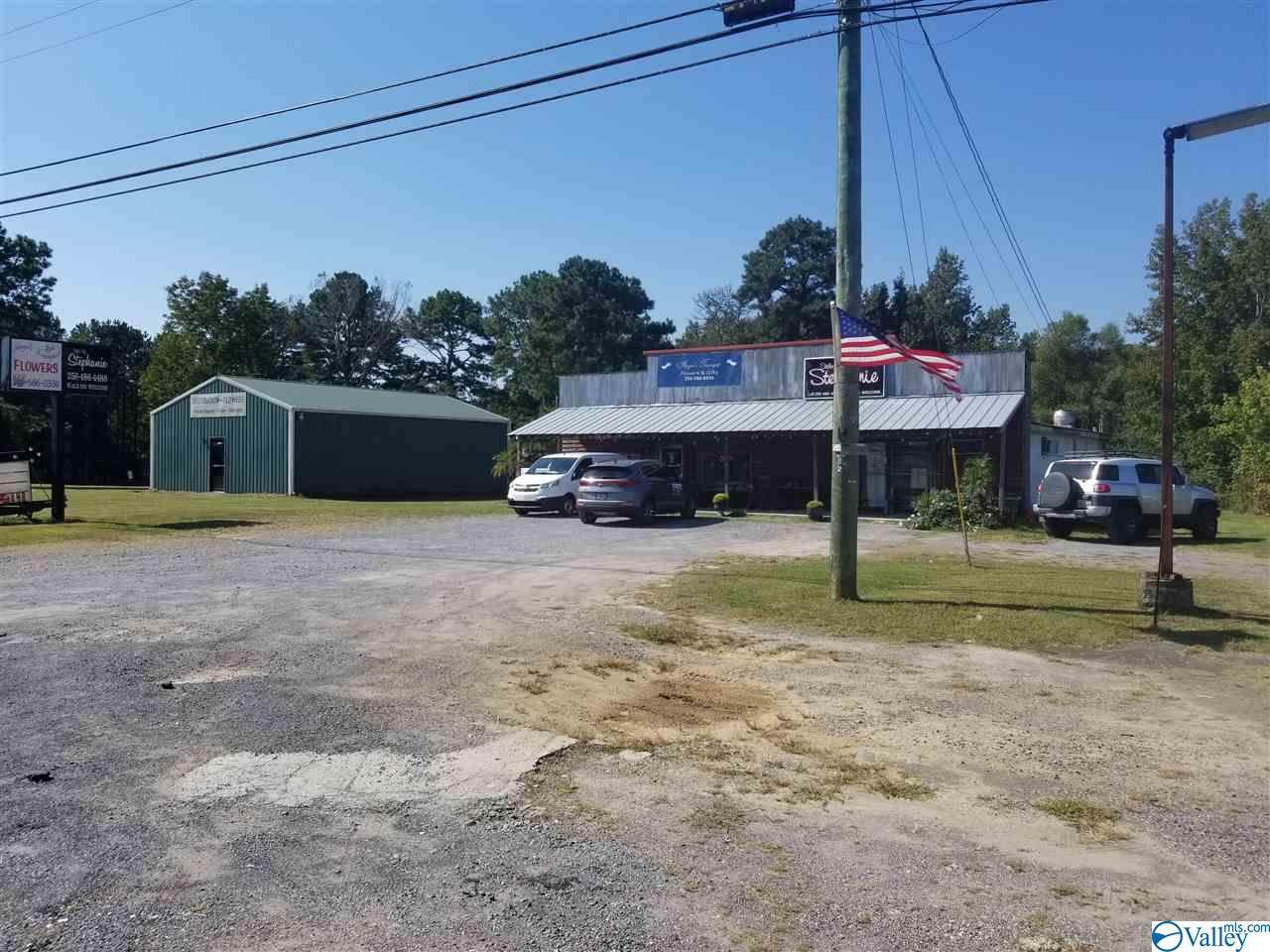 10047 Highway 231 - Photo 1