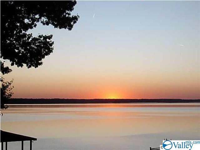 13434 Hatchie Lane - Photo 1
