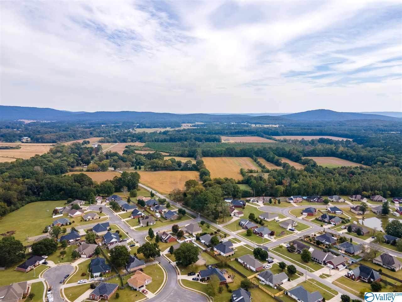 562 Wilson Mann Road - Photo 1