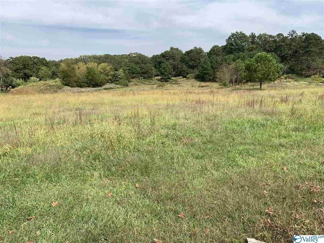 910 County Road 29 - Photo 1