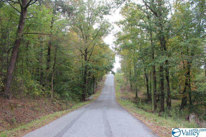 Carter St - Photo 1