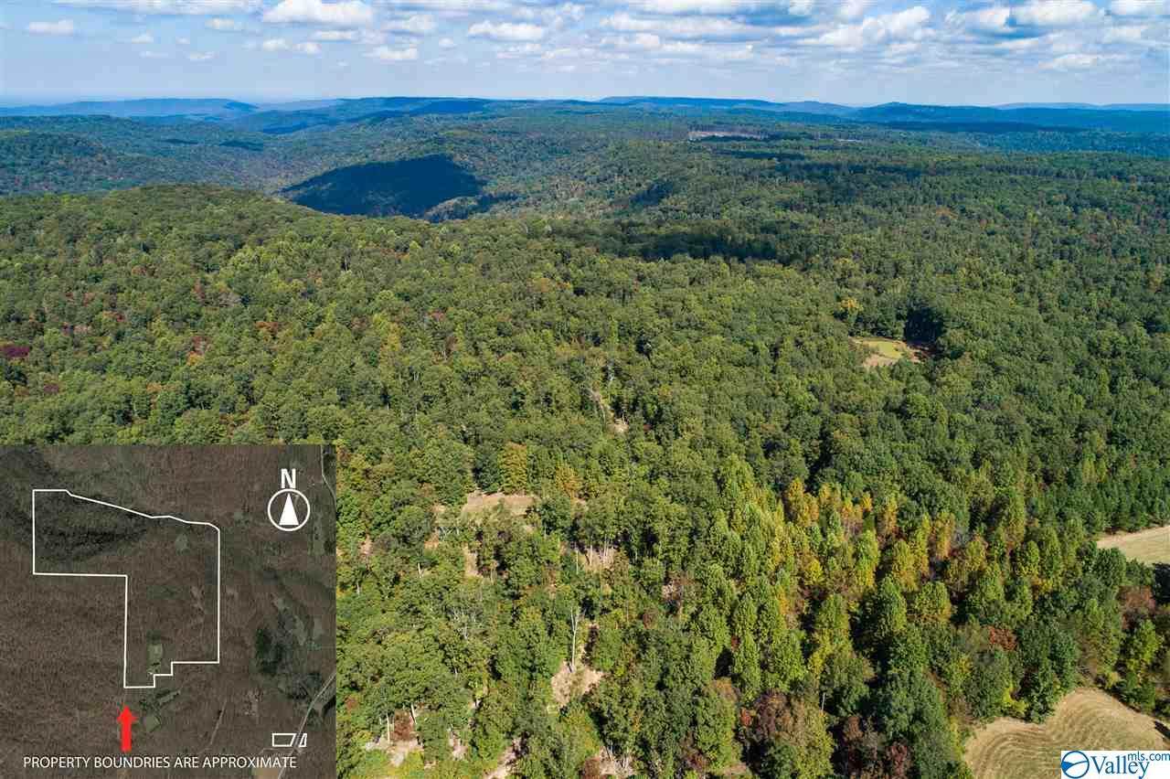 1011 County Road 303 - Photo 1