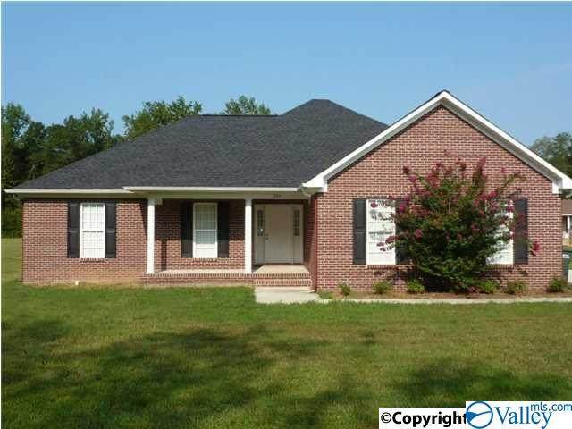 346 Race Track Road - Photo 1