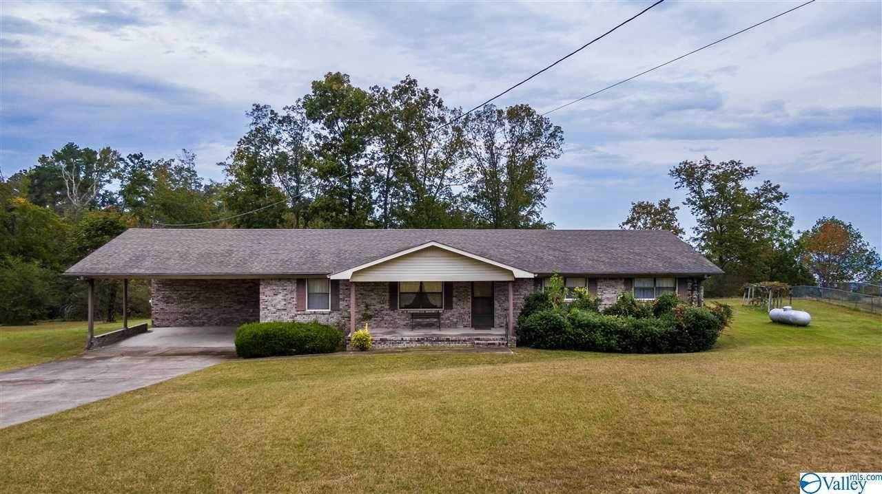 43 County Road 223 - Photo 1