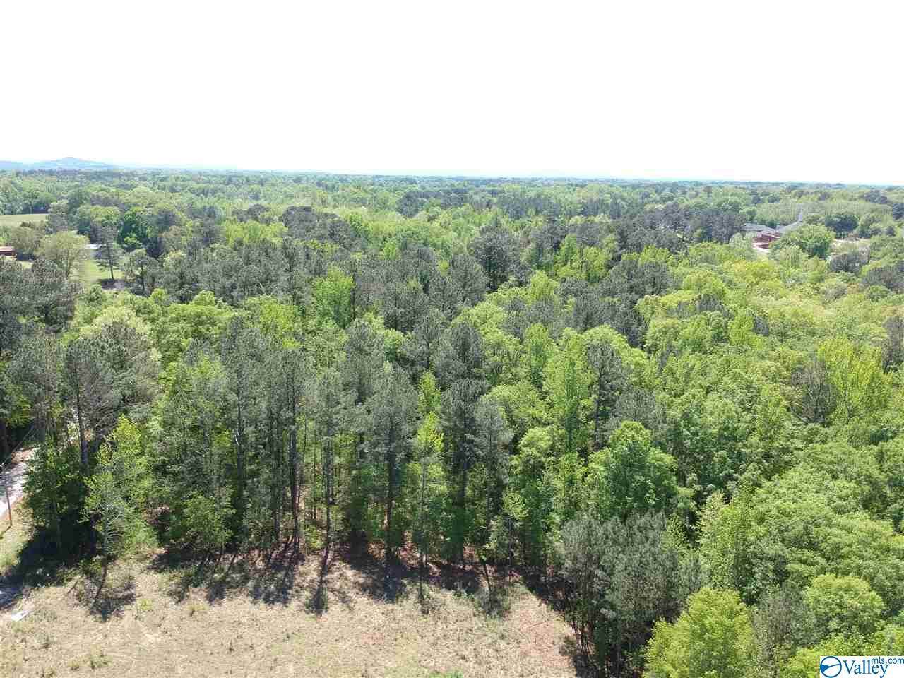 0 Roan Road - Photo 1