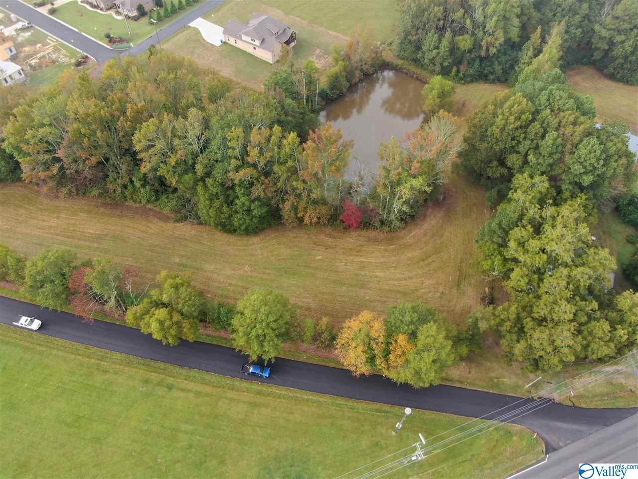 12091 Al Hwy 168 - Photo 1