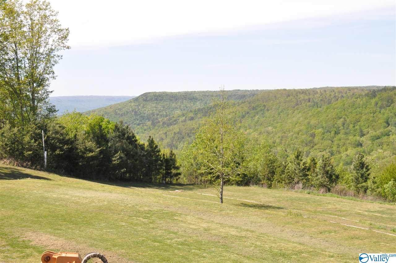 0 County Road 818 - Photo 1