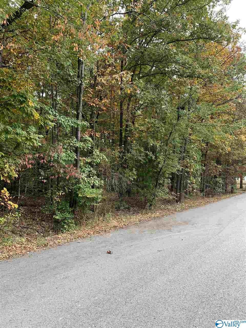 52 Hilldale Road - Photo 1