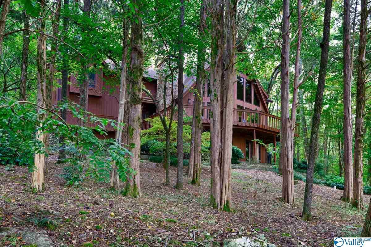 230 Walden Lane - Photo 1