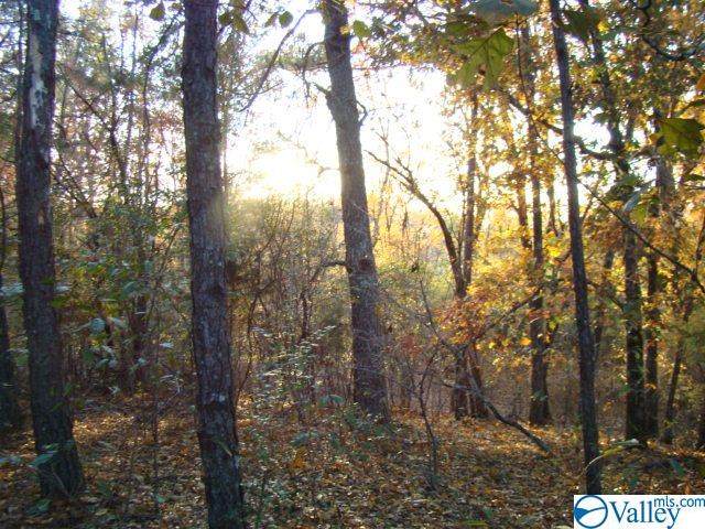 County Road 103 - Photo 1