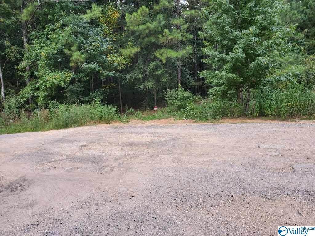 0 Garrett Road - Photo 1