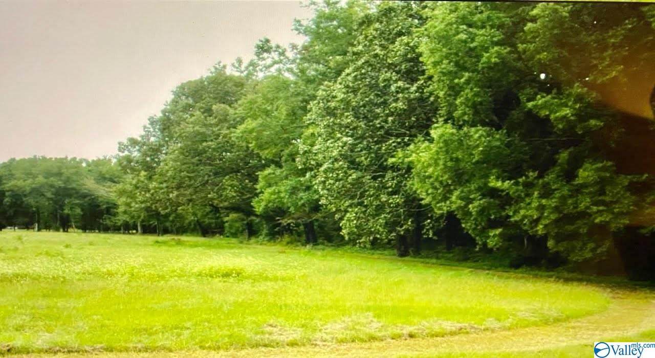 10684 Alabama Highway 24 - Photo 1