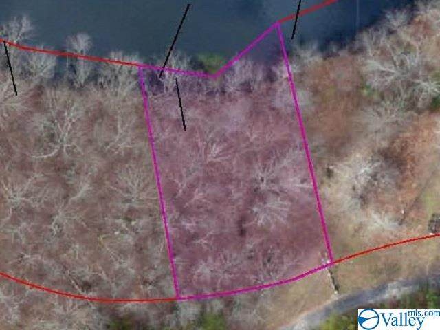 000 County Road 669 - Photo 1