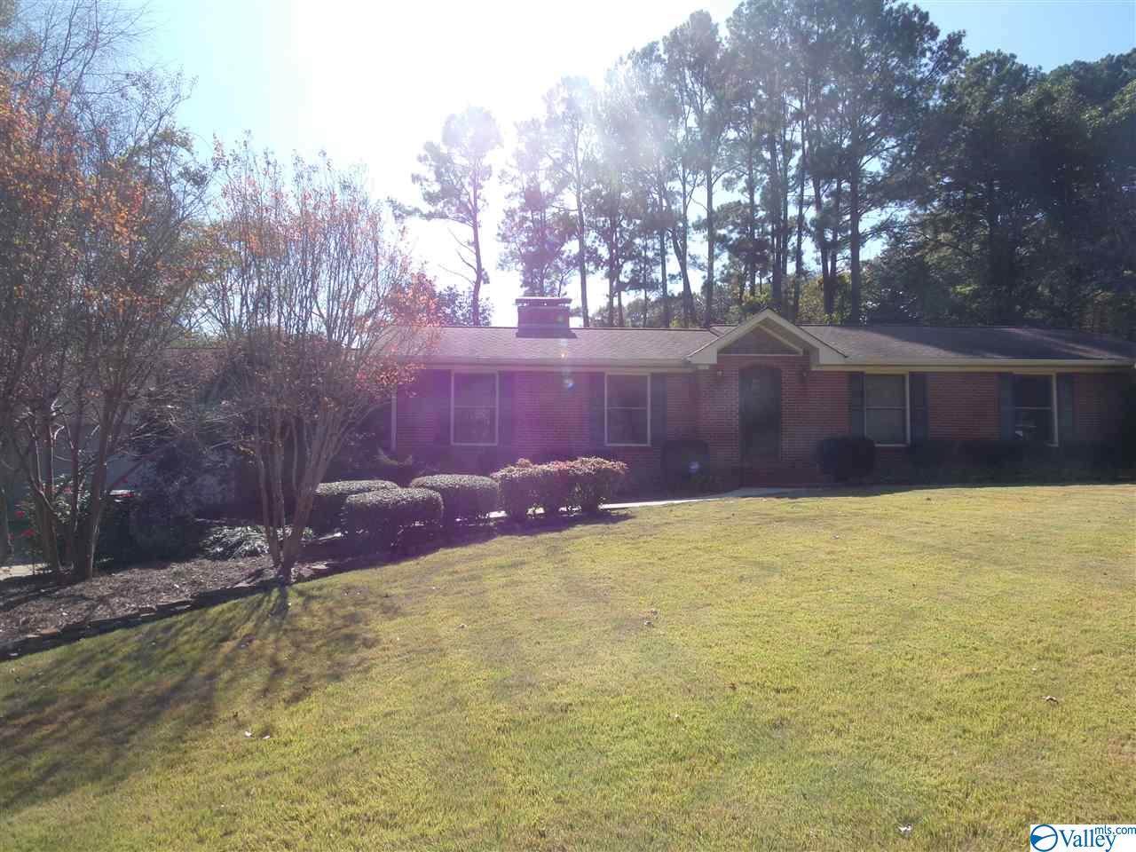 410 Meadow View Drive - Photo 1