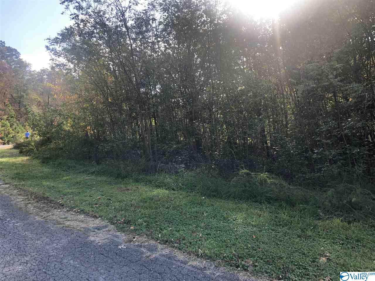 1298 Lookout Mountain Drive - Photo 1