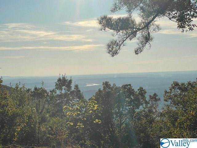 5118 Willow Drive - Photo 1