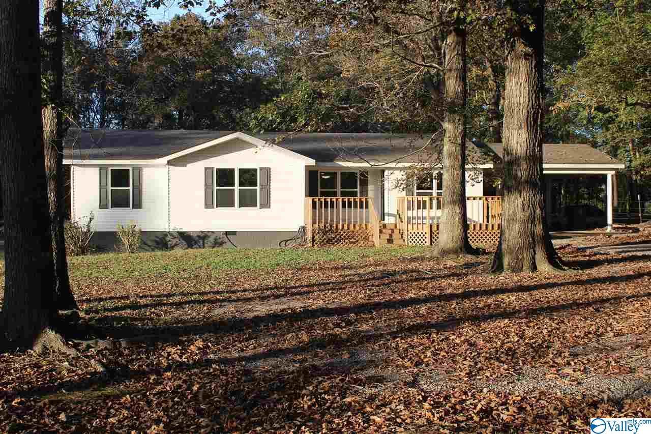 509 County Road 159 - Photo 1