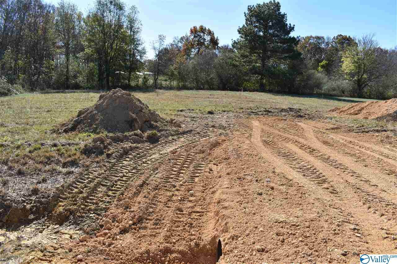 lot3 Ky Creed Lane - Photo 1