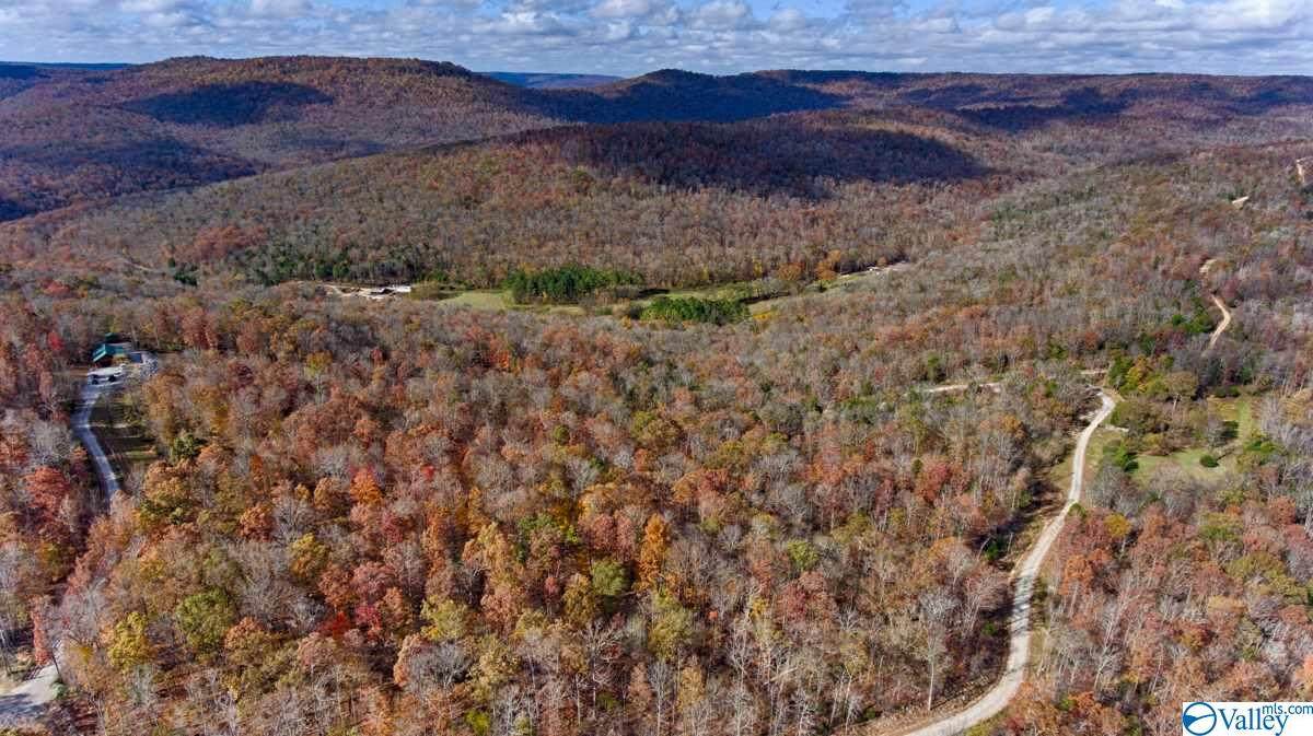 348 Bradford Ridge Road - Photo 1