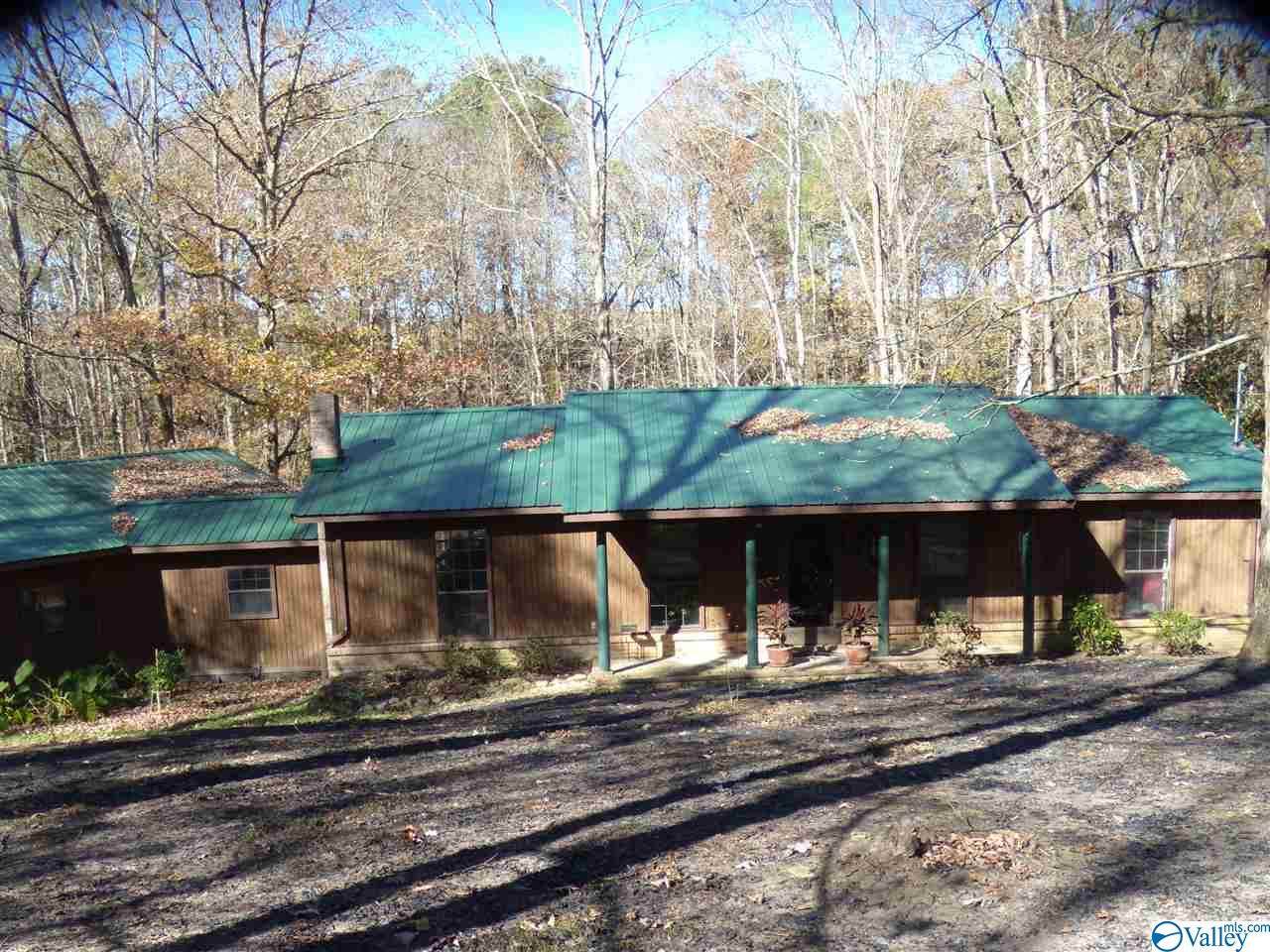 461 County Road 1486 - Photo 1