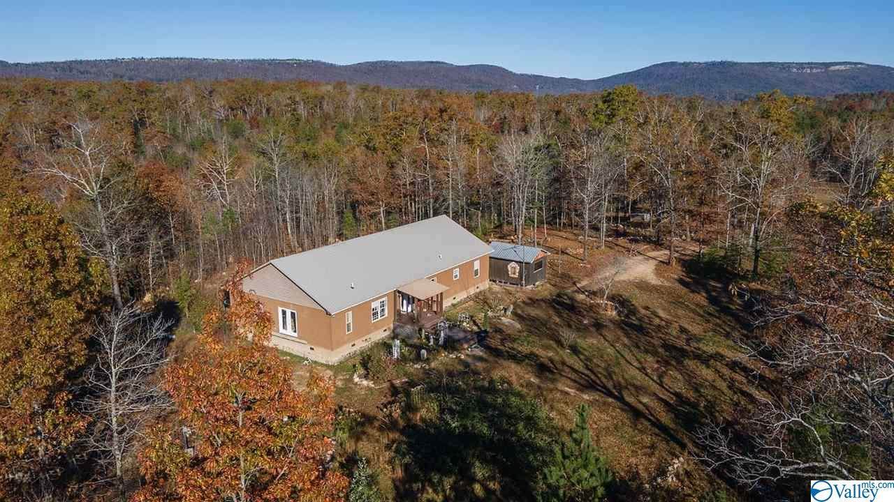 4797 County Road 239 - Photo 1