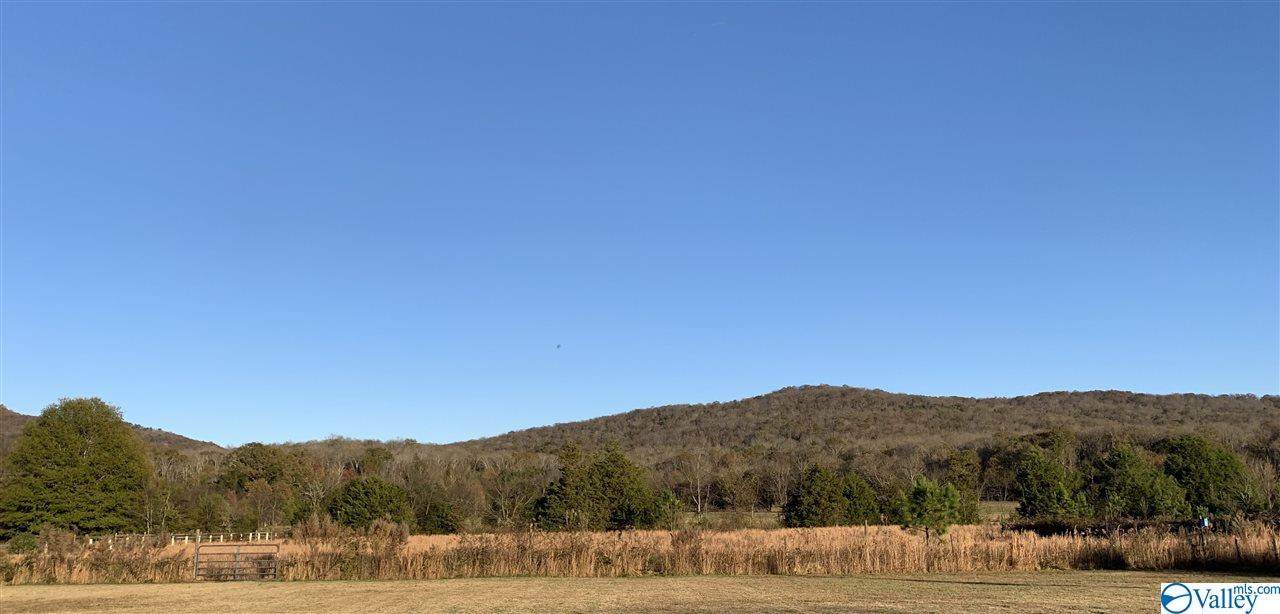 371 Old Gurley Pike - Photo 1