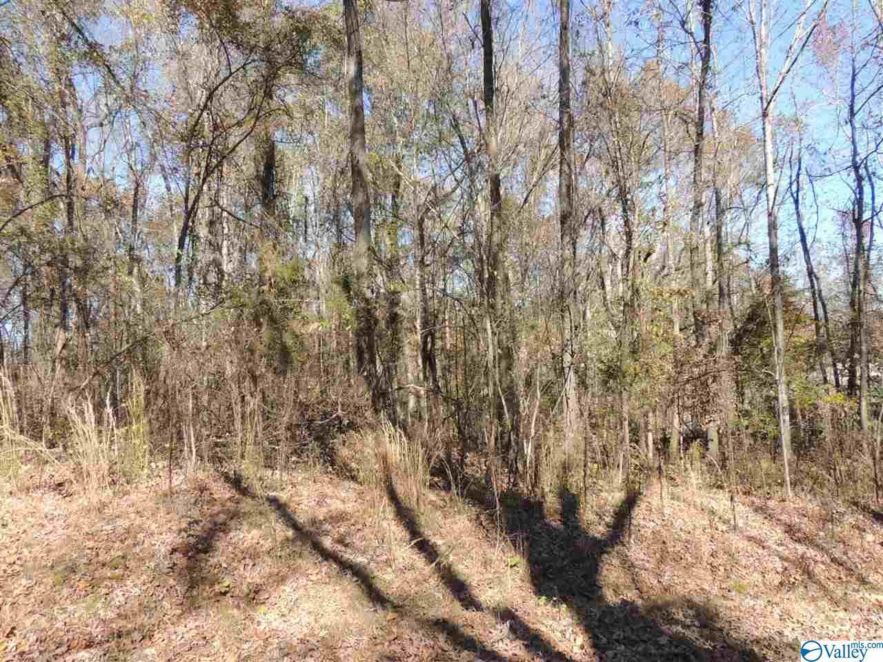 Blue Springs Circle - Photo 1
