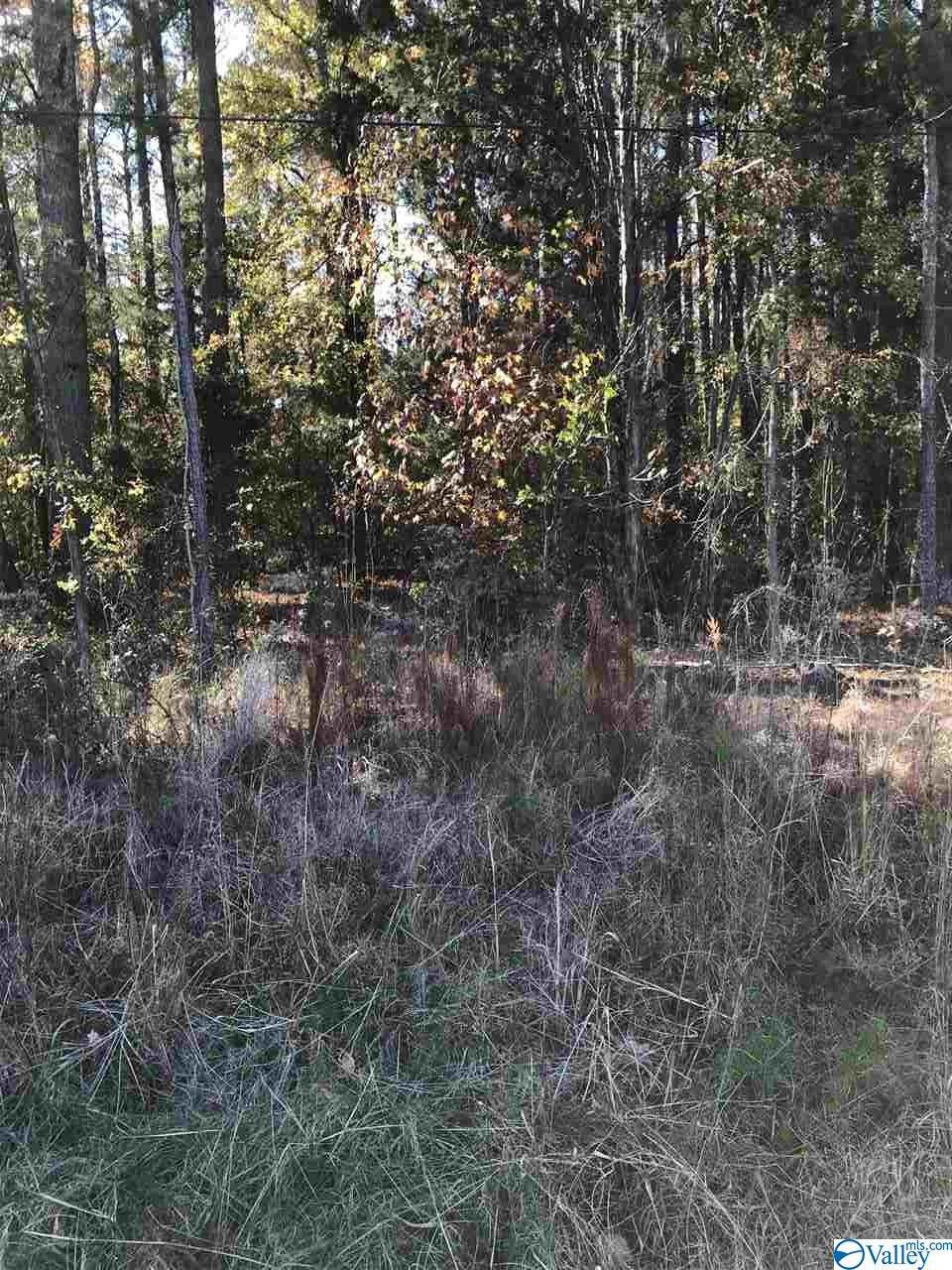 12004 Memorial Parkway South - Photo 1
