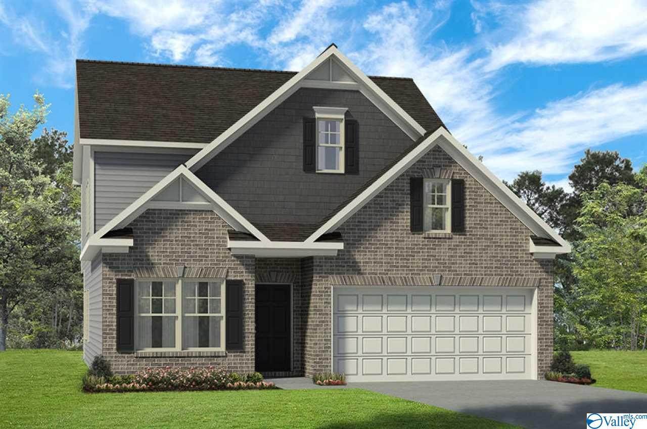 246 Maggie Mance Lane - Photo 1