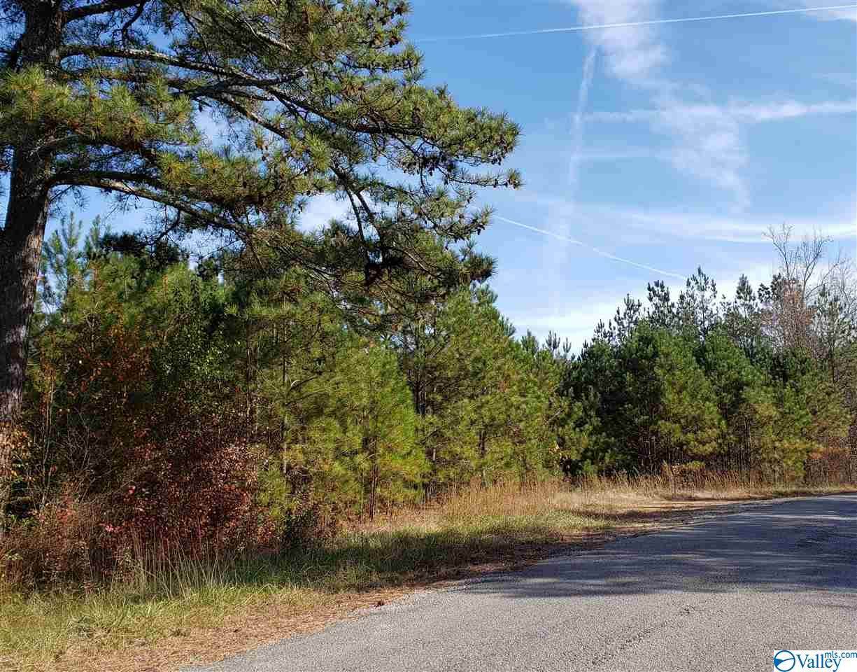 2367 Mayo Road - Photo 1
