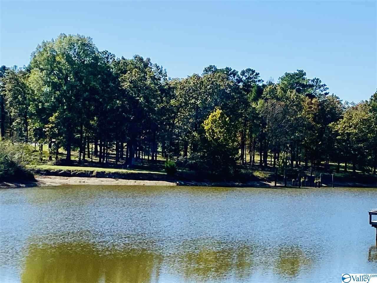 5 County Road 422 - Photo 1