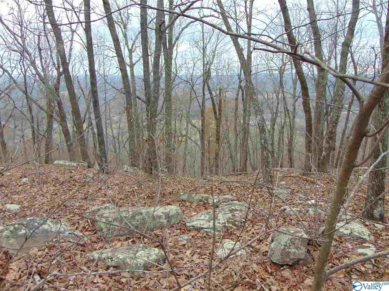 17737b Scenic Highway 89 - Photo 1